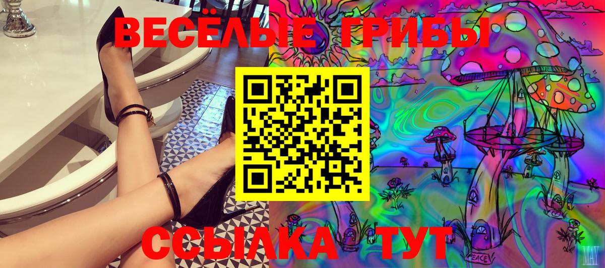 Галлюциногенные грибы Psilocybe  Вход с VPN  Ржев 
